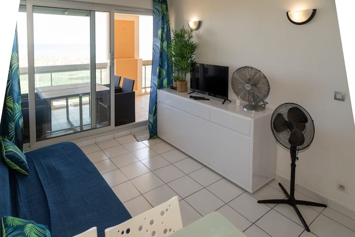 T2 Tout Confort Front De Mer Wifi - Le Barcarès