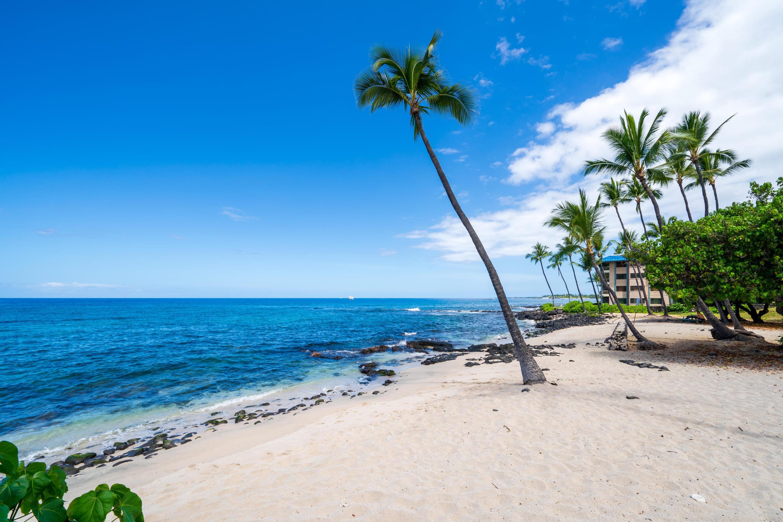 Condo in Kailua-Kona · ★5.0 · 1 bedroom · 2 beds · 1 bath - Image 34