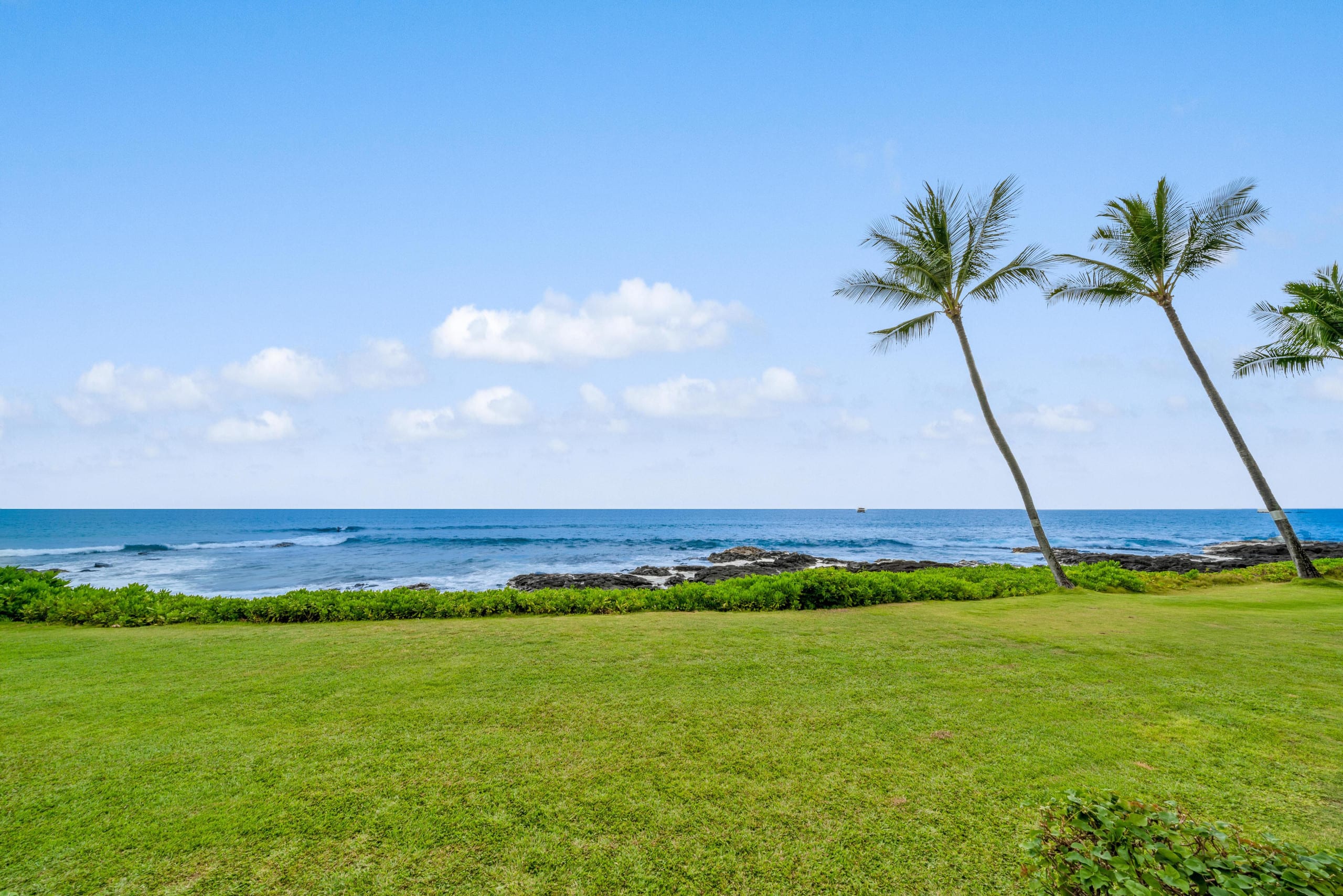Condo in Kailua-Kona · ★5.0 · 1 bedroom · 2 beds · 1 bath - Image 38