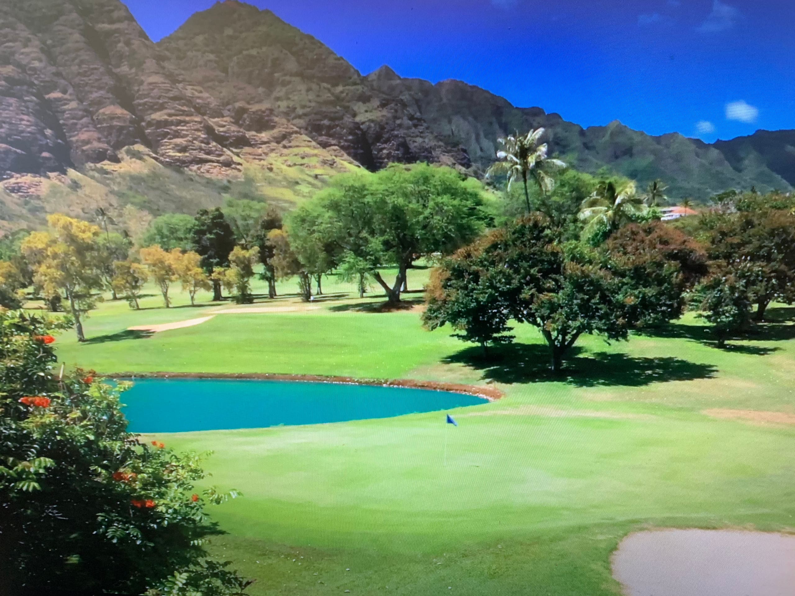 Home in Waianae · ★4.97 · 3 bedrooms · 5 beds · 2.5 private baths - Image 114