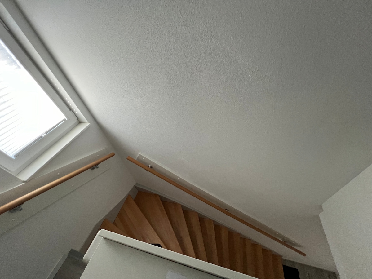 Modern 4-room loft with 3 beds and separate work space