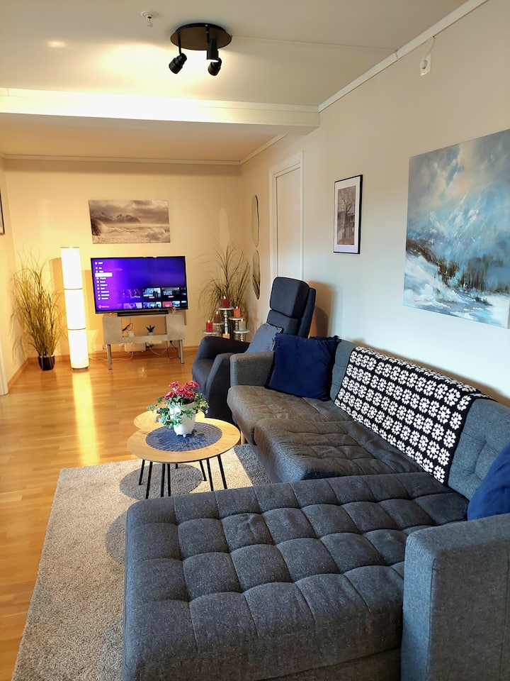 Lyst,sentralt, Porttelefon, Heis, Innglasset Altan - Ålesund