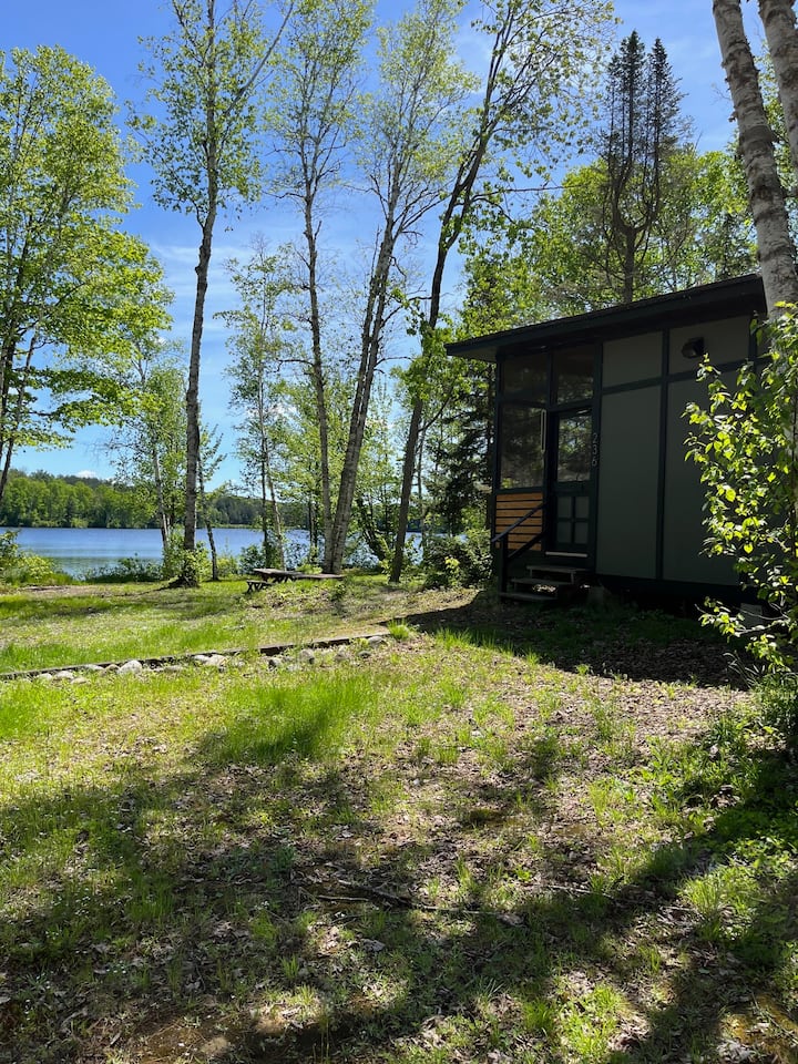Lakefront mid-century cottage with chef's kitchen