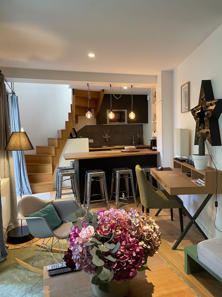 Petit Cocon Indépendant Dans Le Vieux Lyon - Lyon