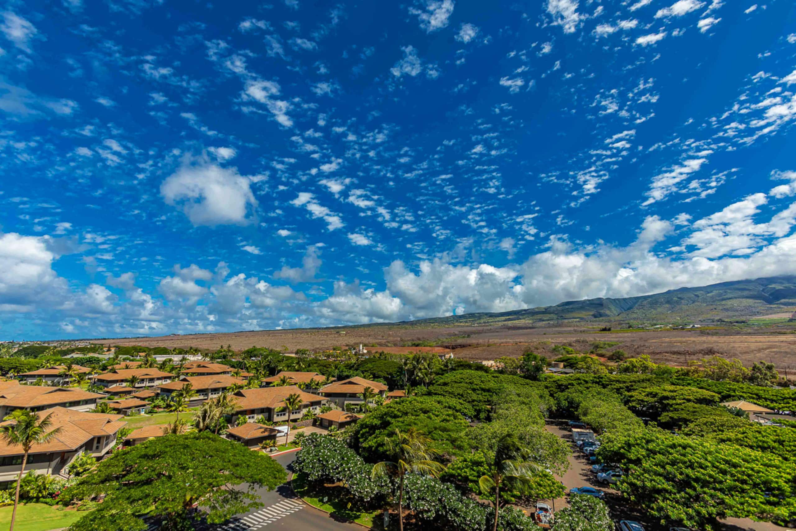 Condo in Lahaina · ★4.86 · 1 bedroom · 2 beds · 1 bath - Image 23