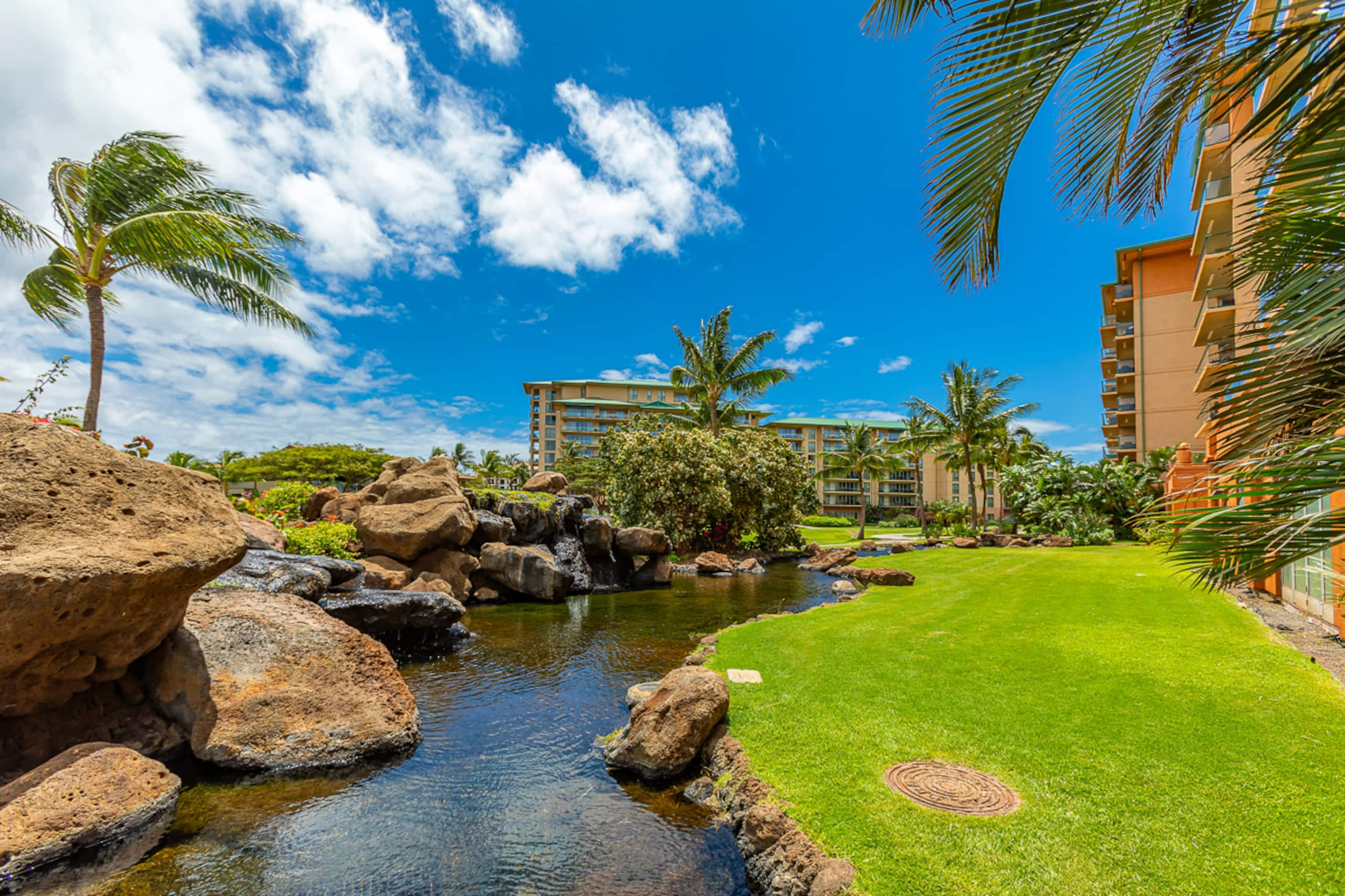 Condo in Lahaina · ★4.86 · 1 bedroom · 2 beds · 1 bath - Image 55