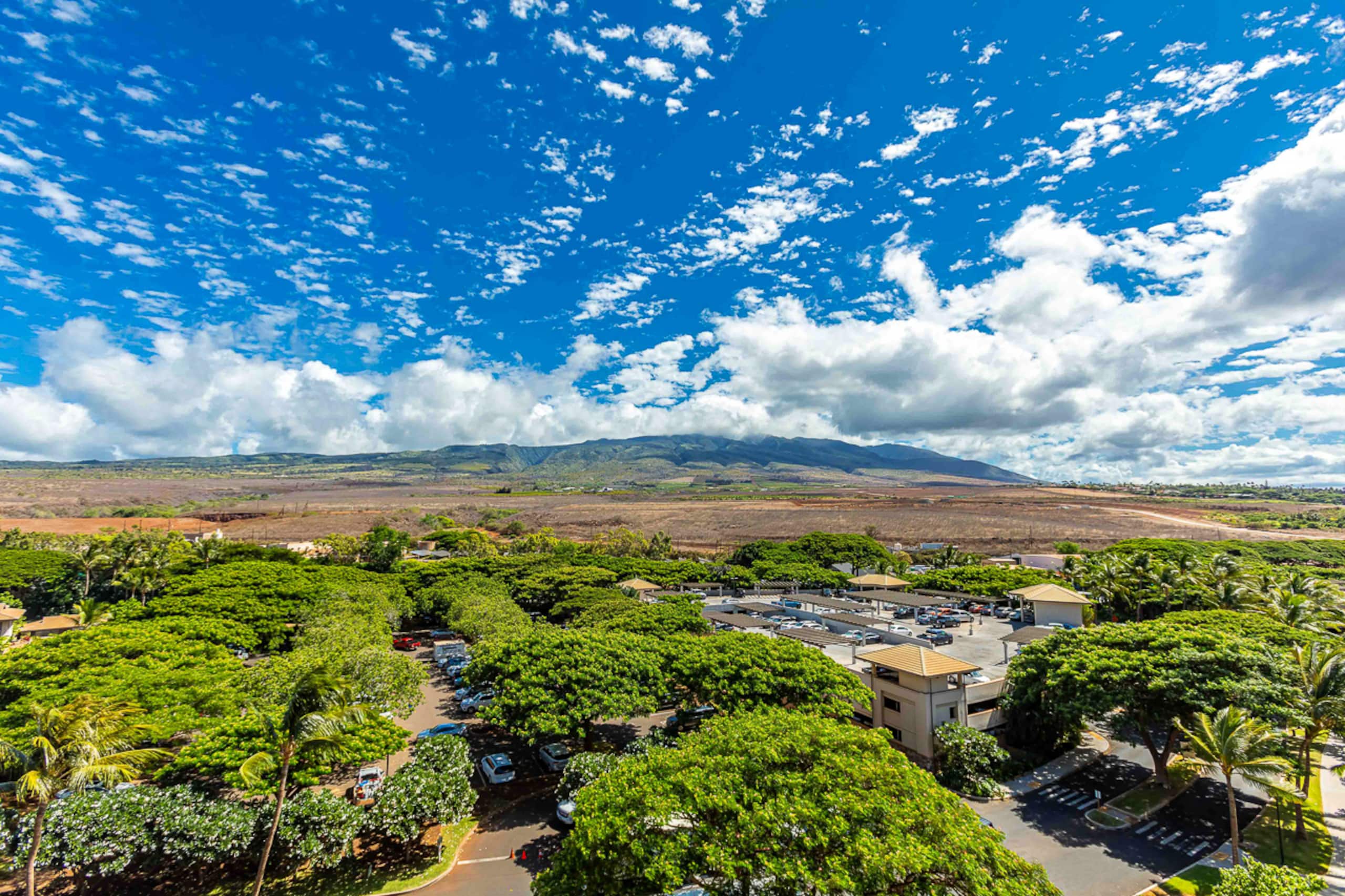 Condo in Lahaina · ★4.86 · 1 bedroom · 2 beds · 1 bath - Image 11