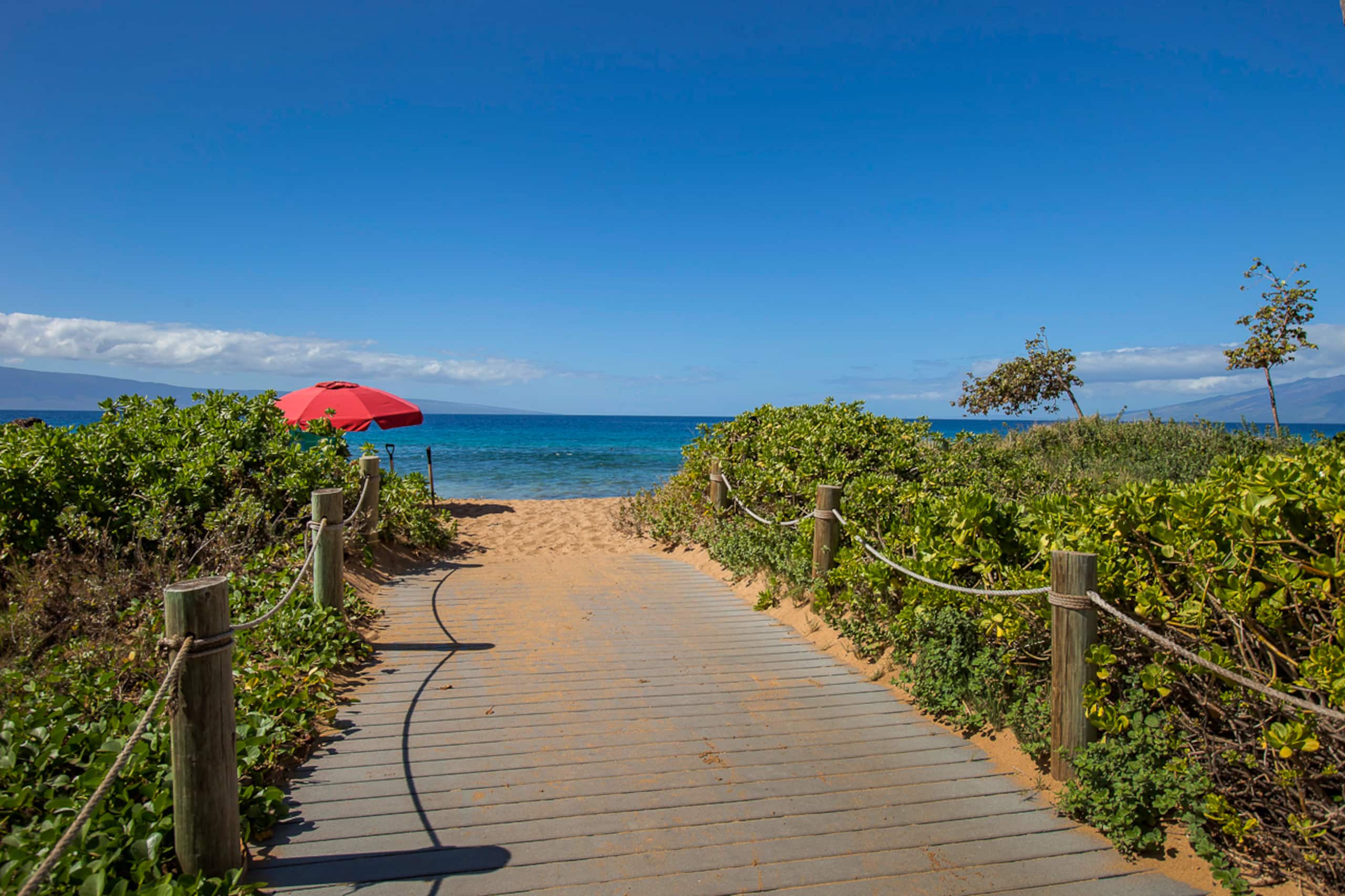 Condo in Lahaina · ★4.86 · 1 bedroom · 2 beds · 1 bath - Image 49