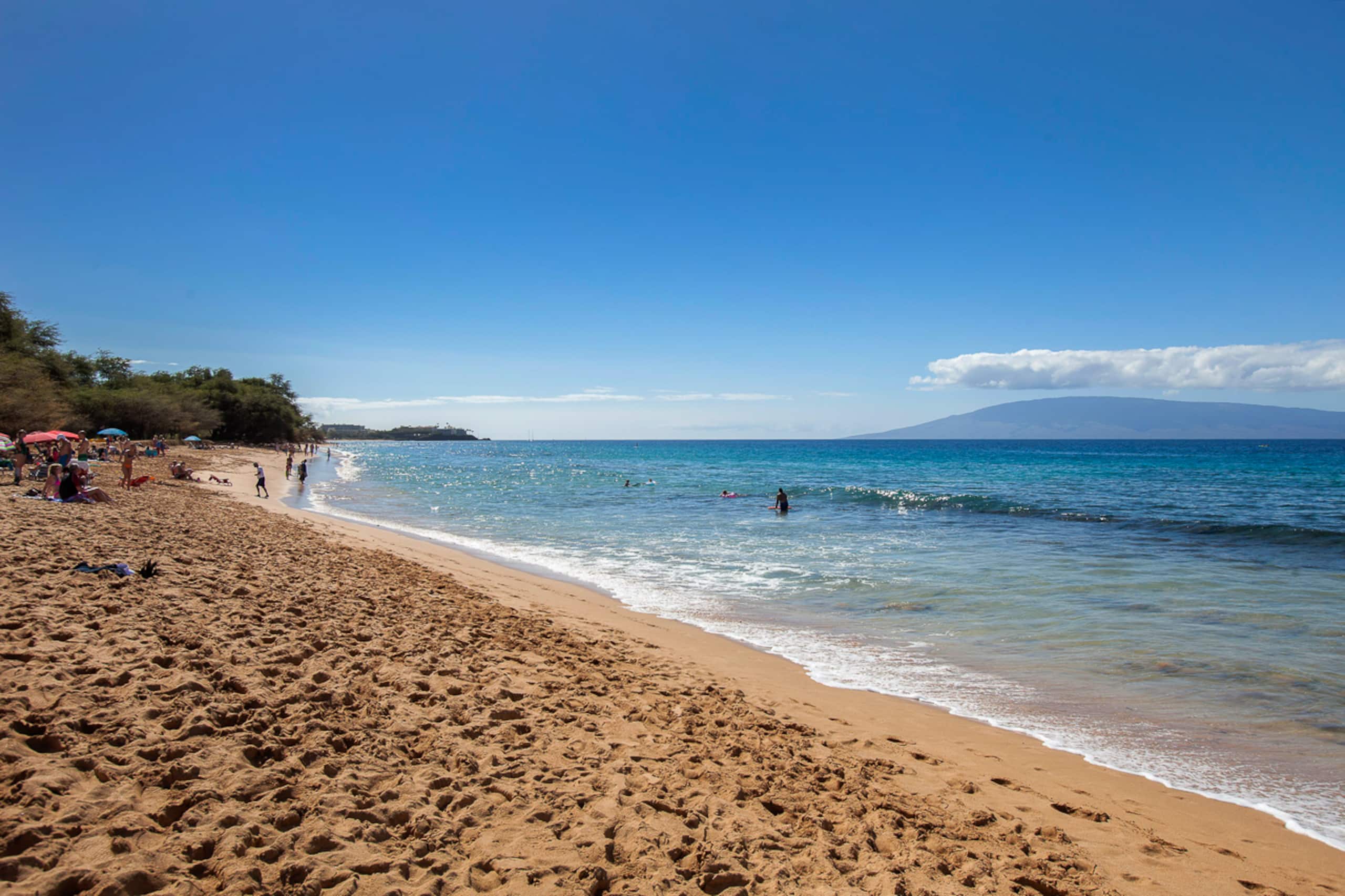 Condo in Lahaina · ★4.86 · 1 bedroom · 2 beds · 1 bath - Image 50