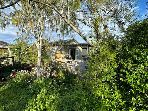 Puketiro Studio, dogs welcome.