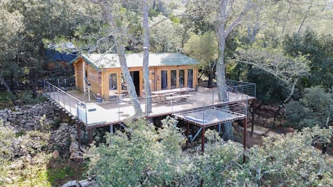Romantic Bear Treehouse Spa with Panoramic View