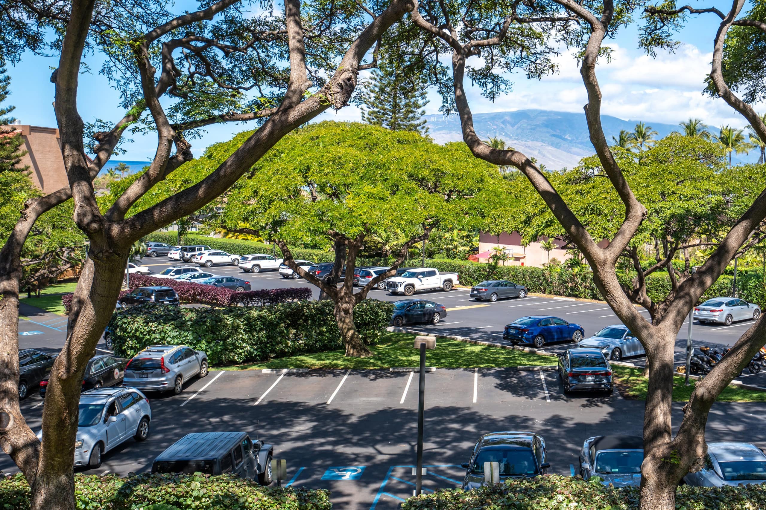 Condo in Kihei · ★4.95 · 1 bedroom · 2 beds · 1 private bath - Image 26