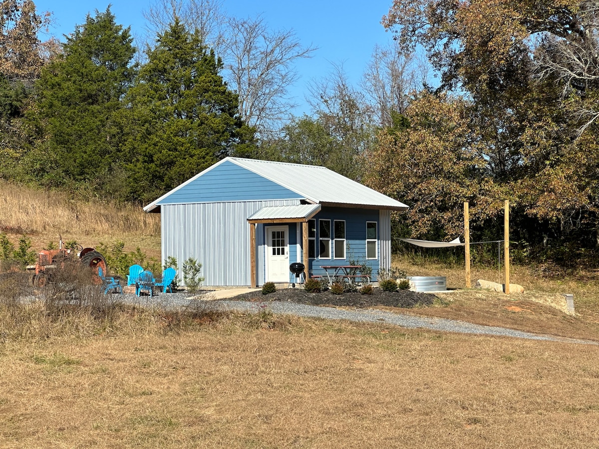 A single-story cabin with a blue exterior and a metal roof is set against a backdrop of trees and open land. A picnic table and chairs are arranged on a gravel patio, providing a simple outdoor seating area. A hammock is hung nearby.