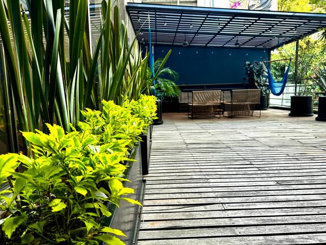 Stunning Condesa Apartment with Private Terrace gallery image 3