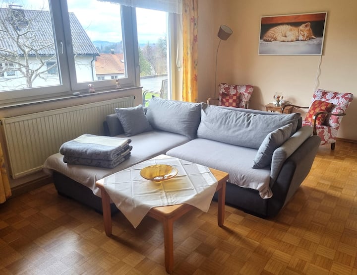 Ferienwohnung Toni 63qm (Freyung) - Freyung