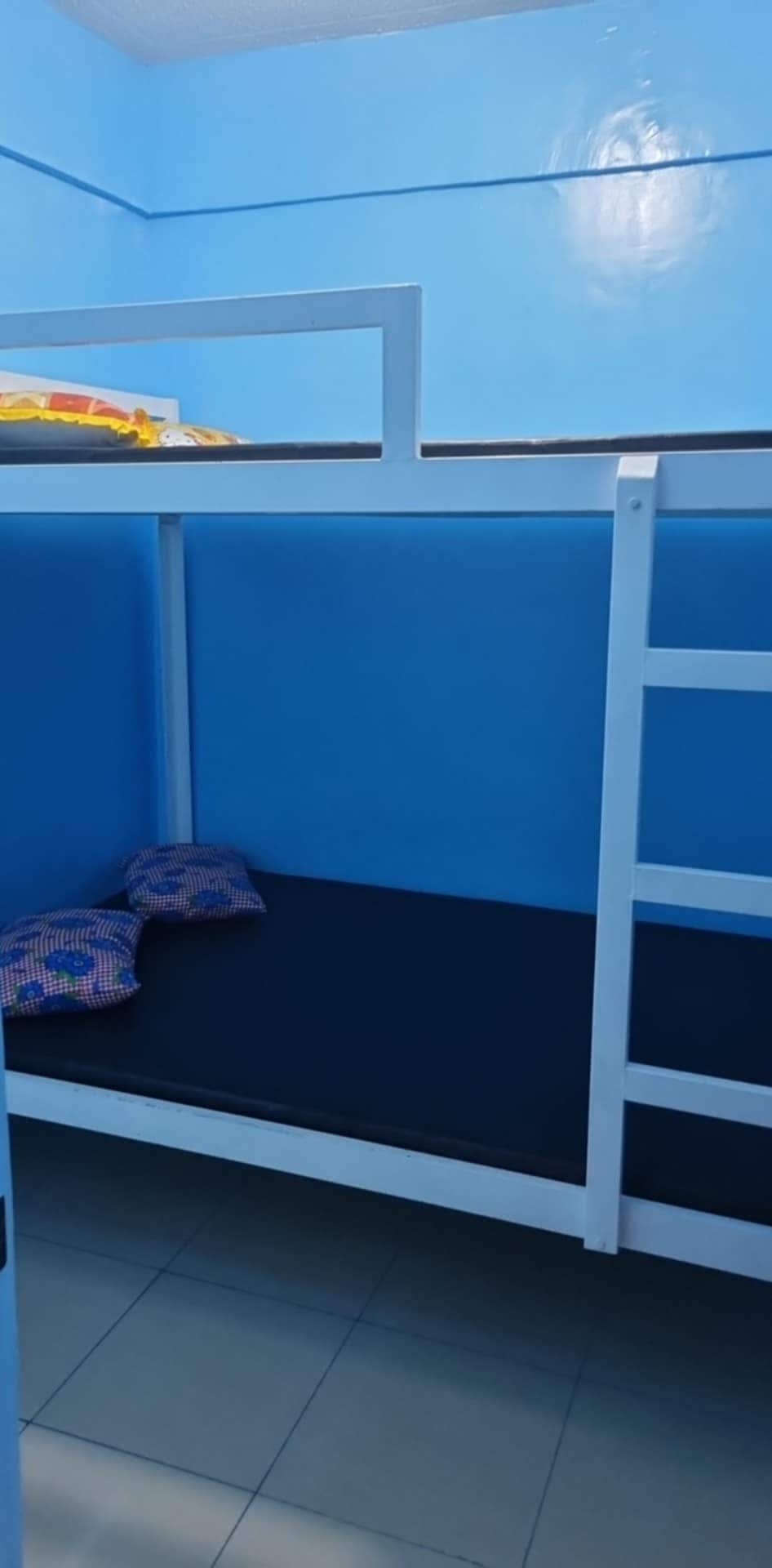 A functional bunk bed is situated in a room with blue walls, providing a spacious lower sleeping area with a dark mattress. Two decorative pillows are placed on the bed, and a sturdy ladder is visible, allowing access to the upper sleeping area.