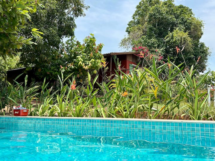 Jungle house in the Brazilian Amazon - Novo Airão