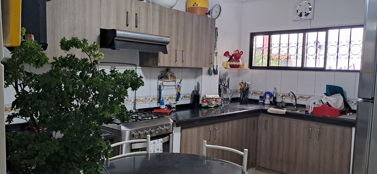 A functional kitchen features wooden cabinets and dark countertops. Equipped with a gas stove and stainless-steel appliances, the space includes a round dining table surrounded by chairs. Natural light filters through a window with decorative grilles, enhancing the workspace adorned with plants and utensils.