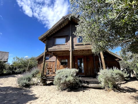 Excellent cabin; a few meters from the beach, ocean view