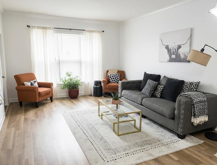 Boho Apt; Wi-fi, Free Parking,gym (Entire Apt) - Sandy Springs, GA