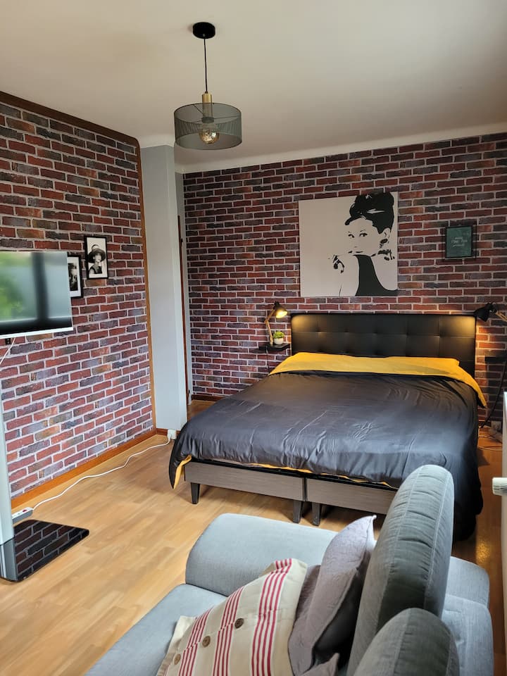 1,60 m dvigulė lova su elektriniu valdikliu. 