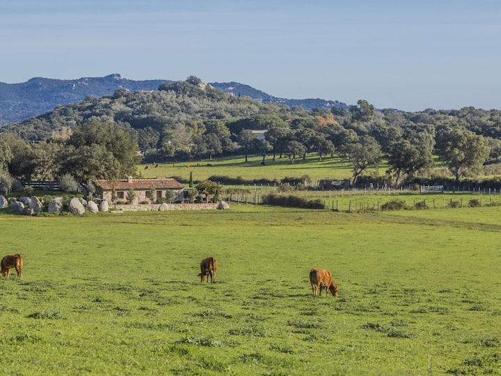 Bergerie Intimiste Avec Bassin - Porto-Vecchio