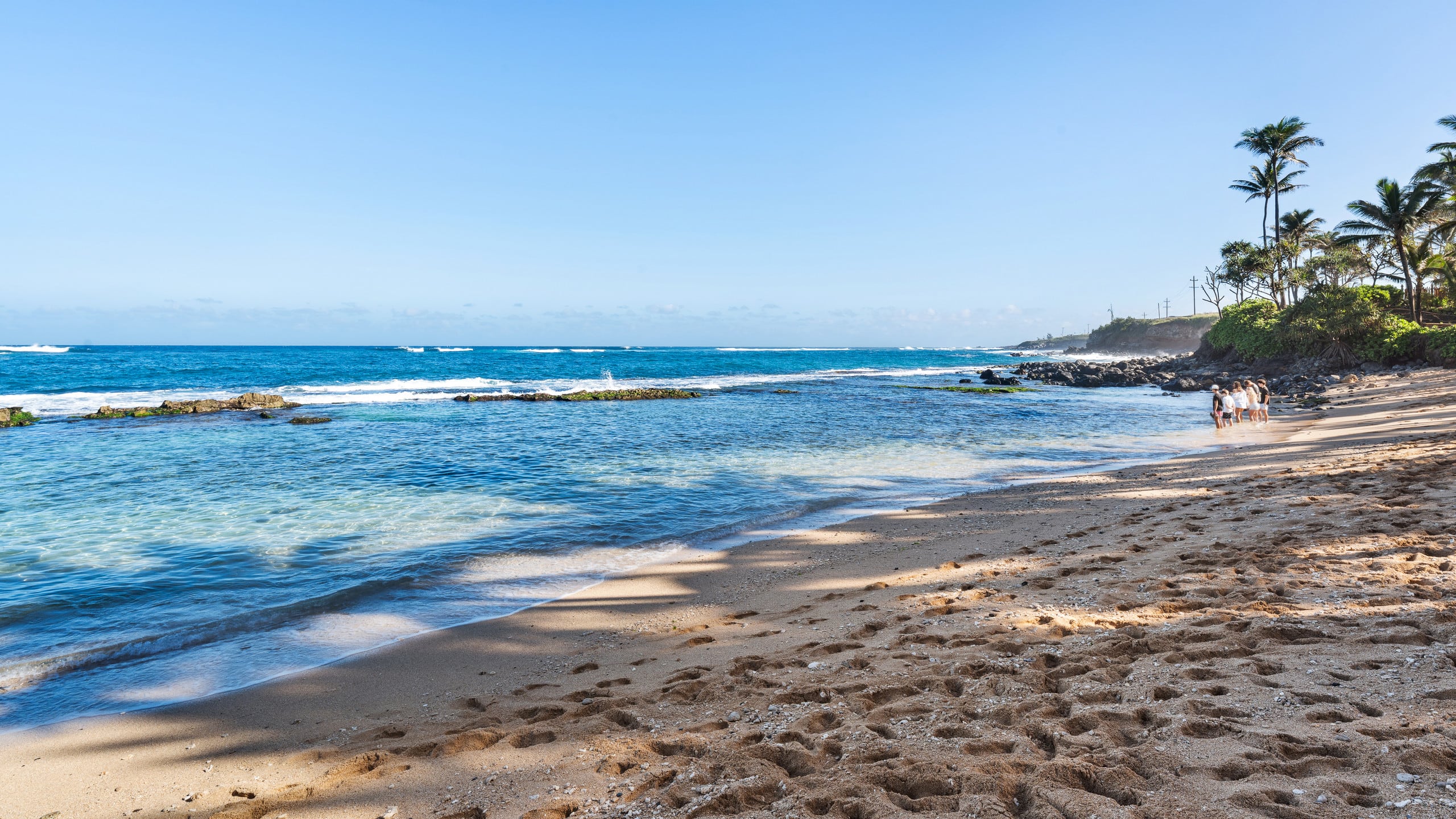 Condo in Paia · ★4.63 · 1 bedroom · 1 bed · 1 bath - Image 47