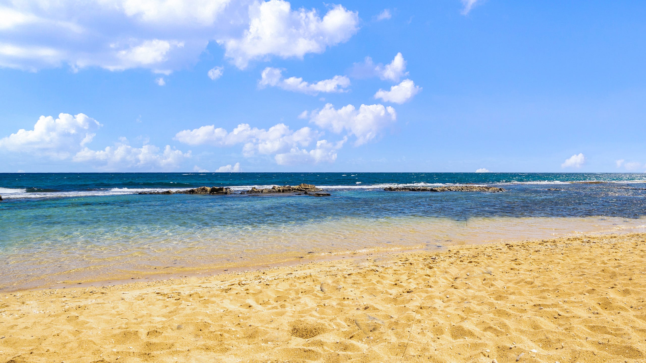 Condo in Paia · ★4.63 · 1 bedroom · 1 bed · 1 bath - Image 41