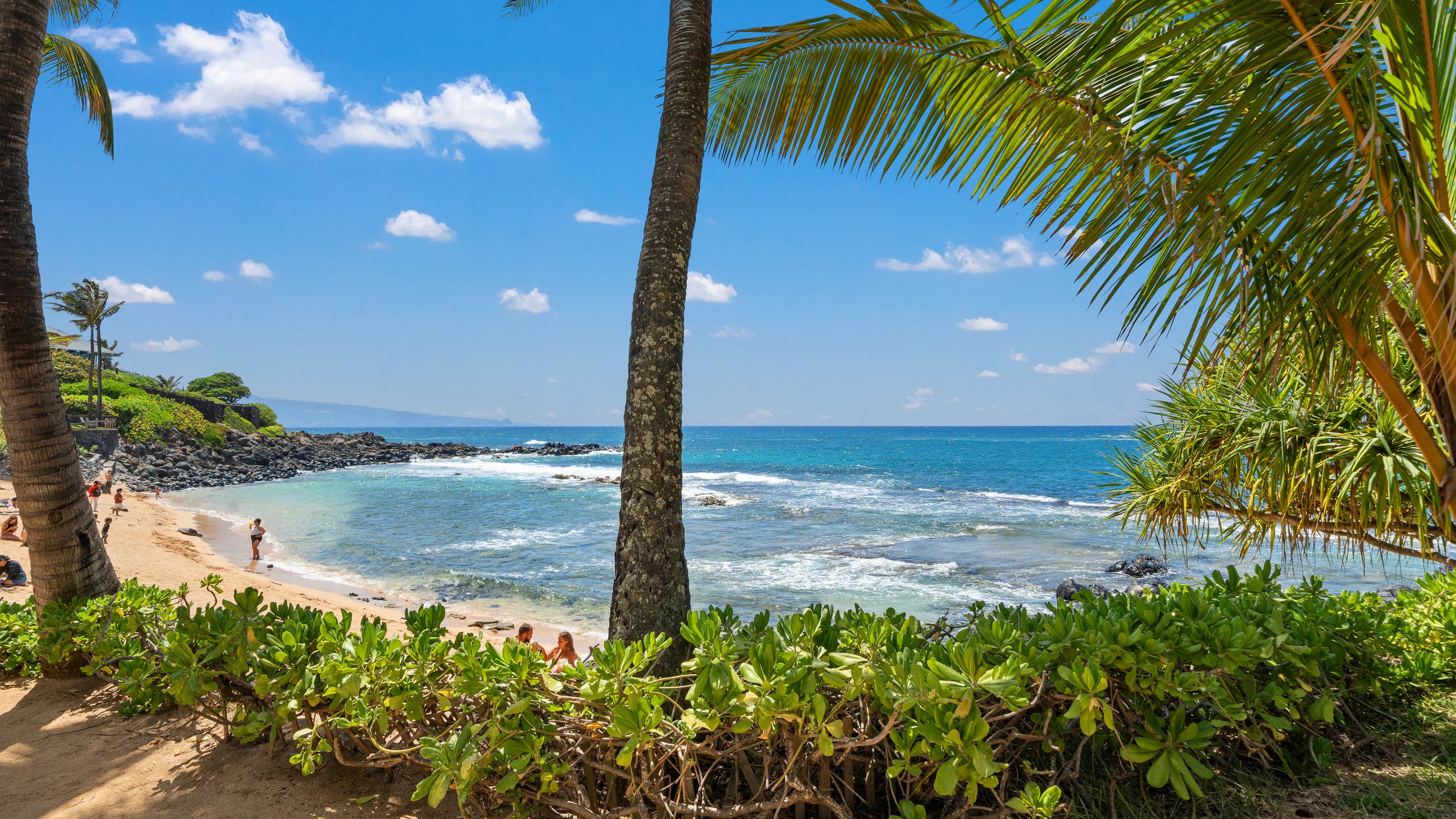 Condo in Paia · ★4.63 · 1 bedroom · 1 bed · 1 bath - Image 38