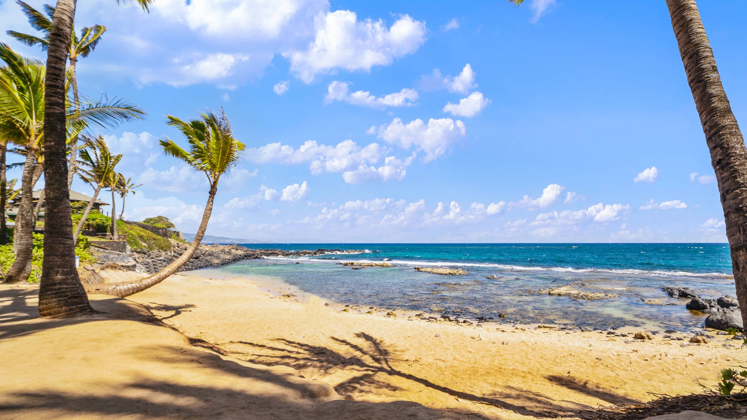 Condo in Paia · ★4.63 · 1 bedroom · 1 bed · 1 bath - Image 42
