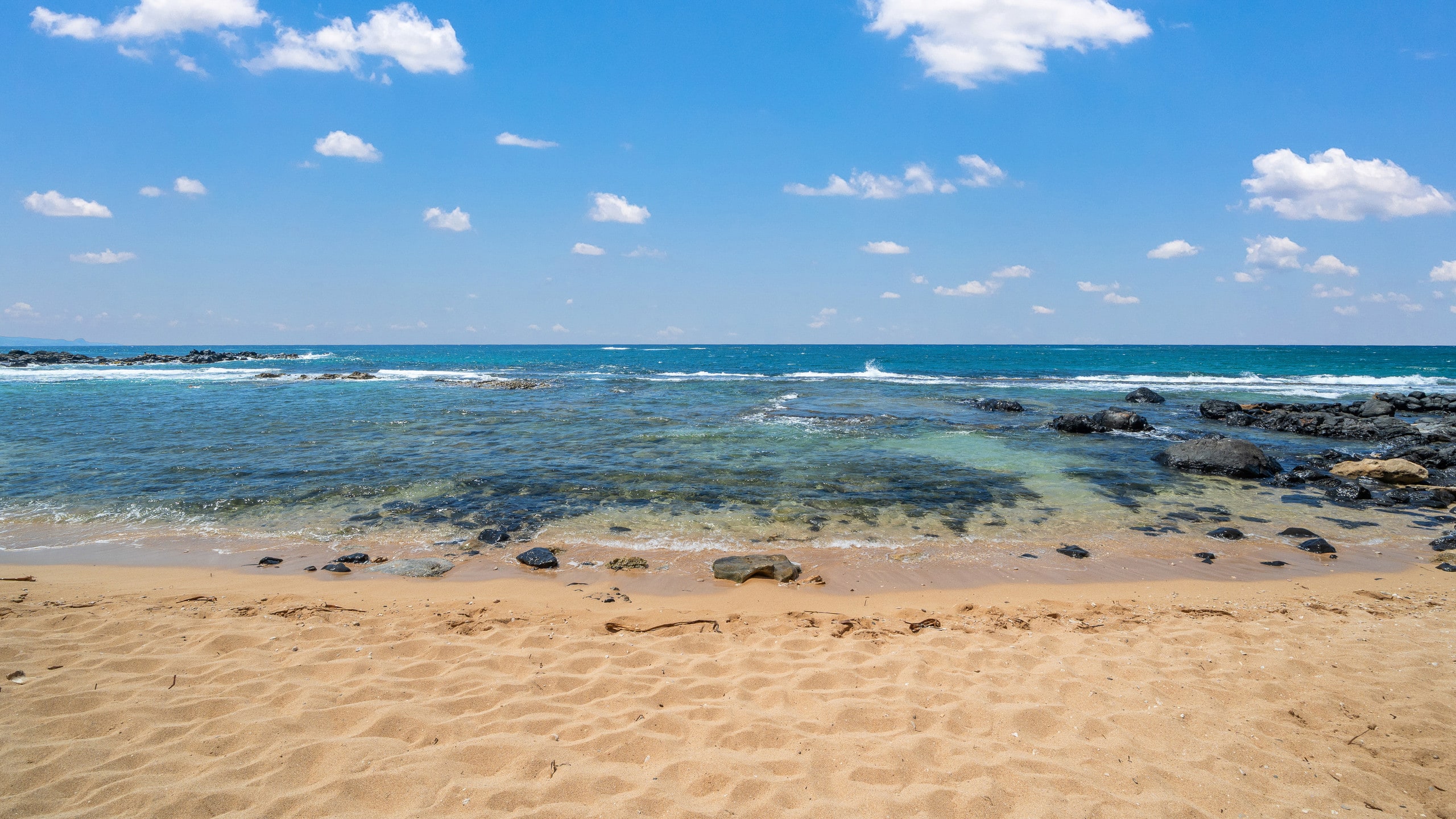 Condo in Paia · ★4.63 · 1 bedroom · 1 bed · 1 bath - Image 36