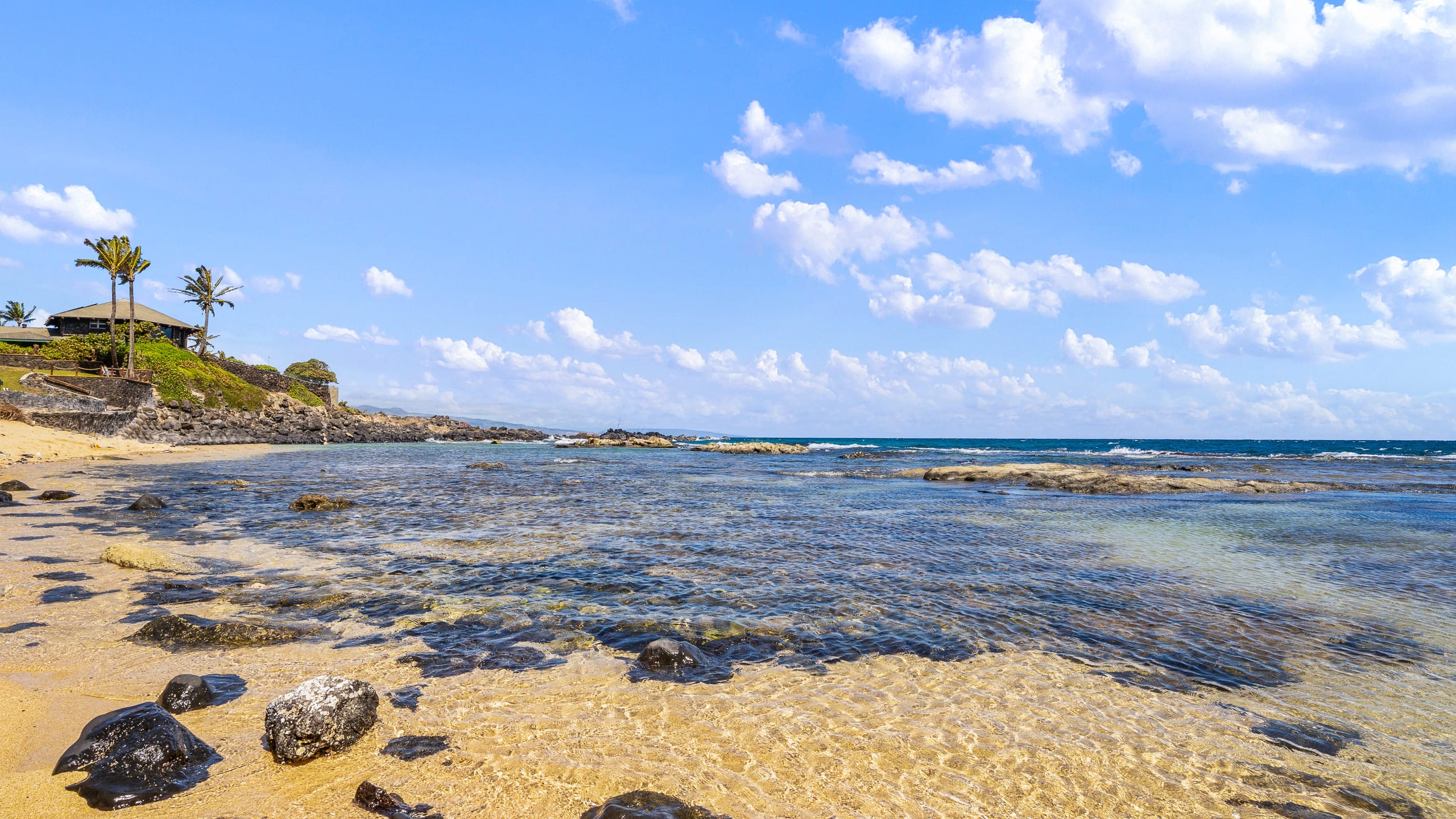 Condo in Paia · ★4.63 · 1 bedroom · 1 bed · 1 bath - Image 31