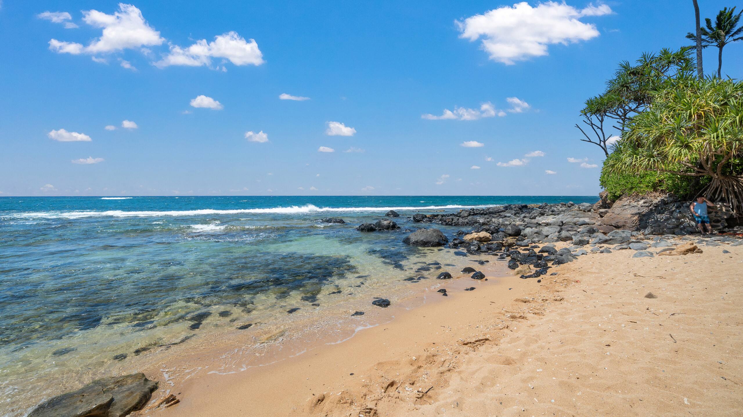 Condo in Paia · ★4.63 · 1 bedroom · 1 bed · 1 bath - Image 39