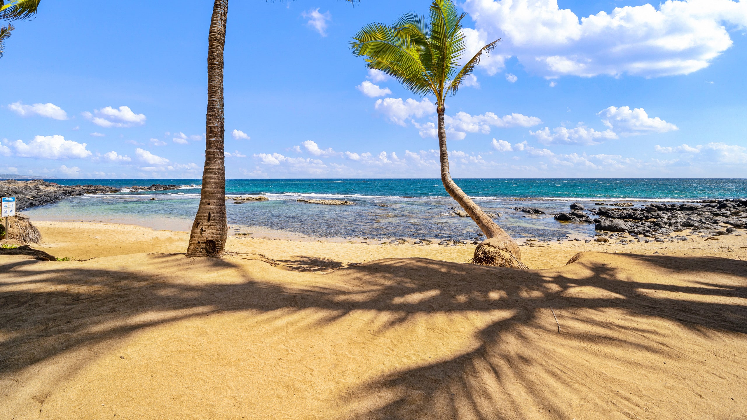 Condo in Paia · ★4.63 · 1 bedroom · 1 bed · 1 bath - Image 44