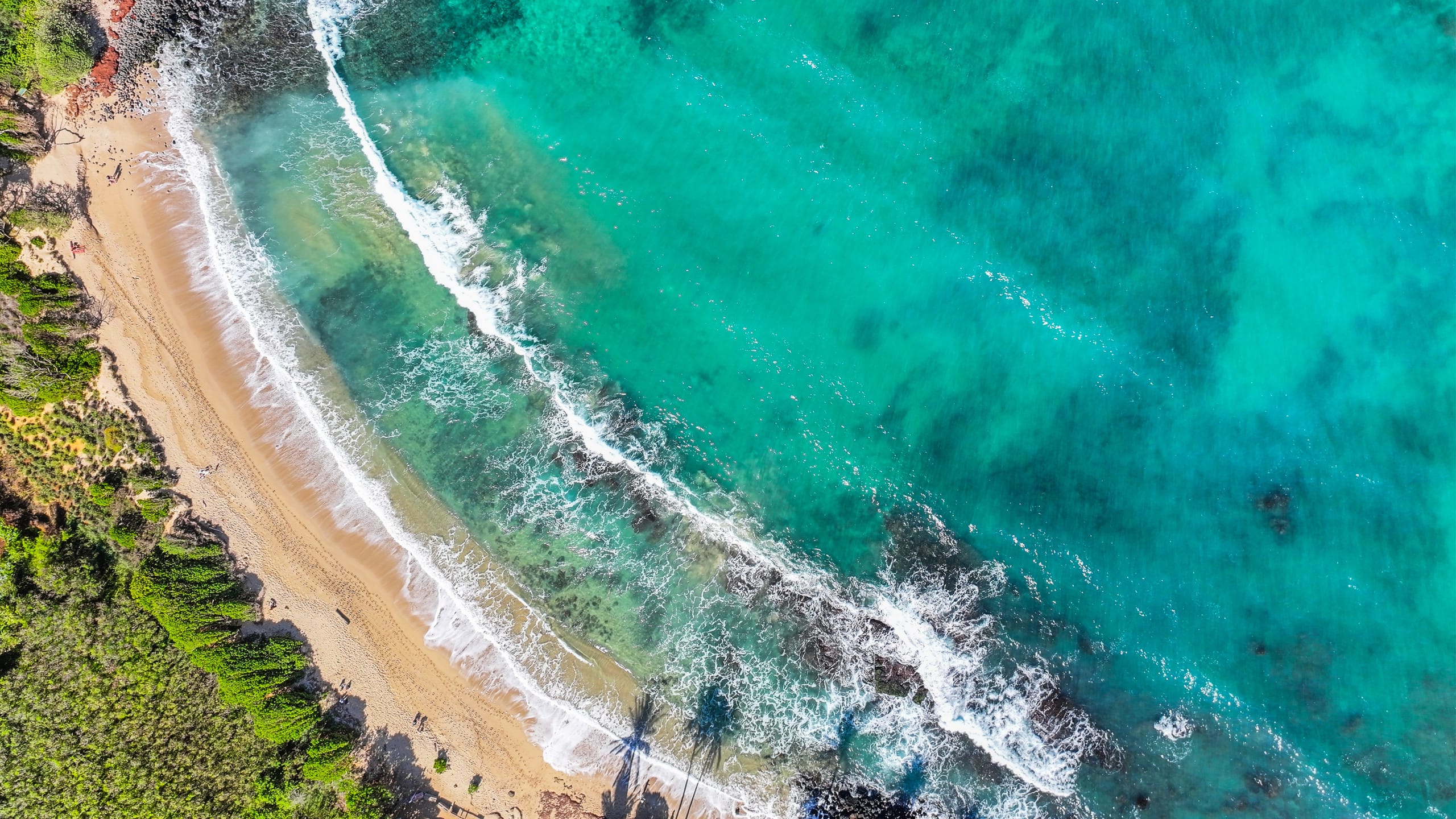 Condo in Paia · ★4.63 · 1 bedroom · 1 bed · 1 bath - Image 35