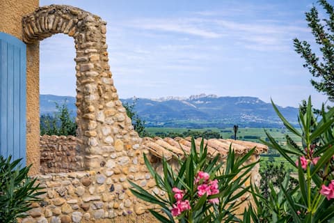 Villa in the Vineyards • Pool • Ventoux View