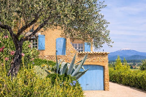 Villa in the Vineyards • Pool • Ventoux View