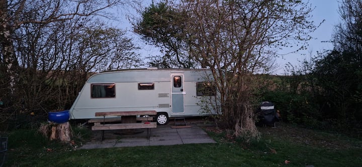 campingvogn til leje 100 £ for opholdet. 2 dobbeltsenge med toilet. 