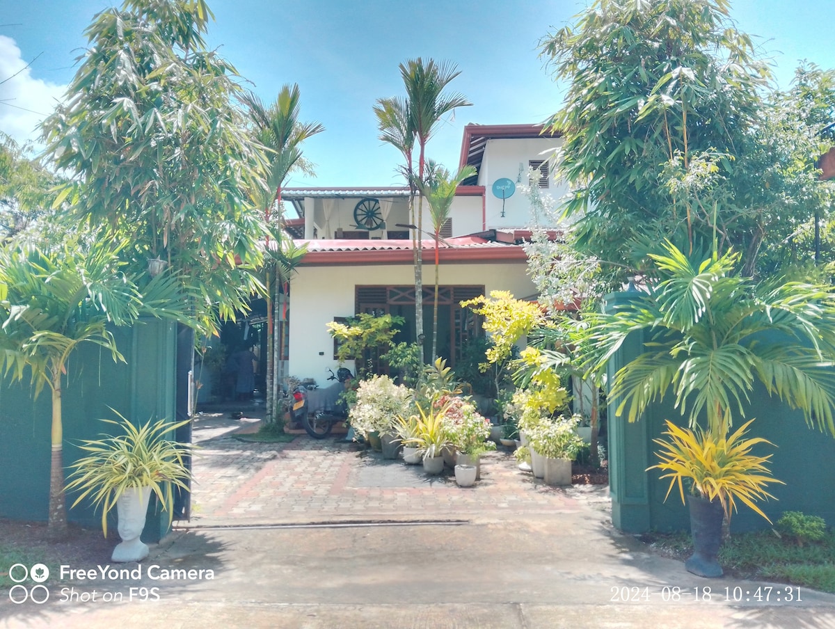 A welcoming entrance is framed by lush green plants and decorative pots. A pathway leads to a two-story house, partially visible through the vibrant foliage. Sunlight filters through the leaves, creating a bright and inviting atmosphere at the entrance.