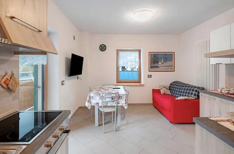 Comedon NEW Apartment [Sci & QcTerme]