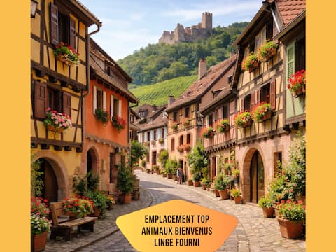 House with garden - 6 people - Top location