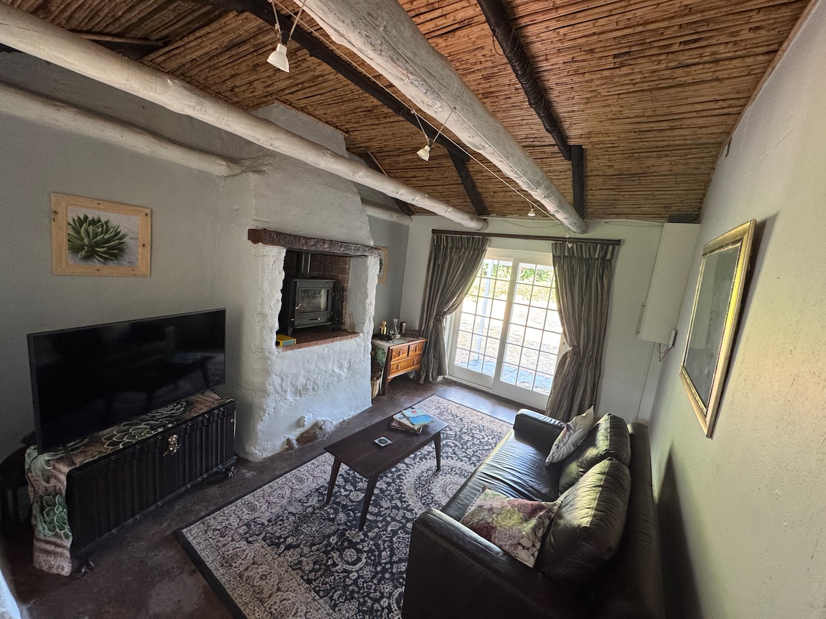 The living area features a comfortable leather sofa and a large TV, complemented by a decorative rug. A fireplace is positioned against a white stone wall, and natural light flows through glass doors, framed by curtains. A wooden side table displays various items.