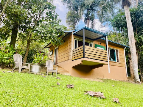 Riverside Dream-Río Toa Vaca (River)