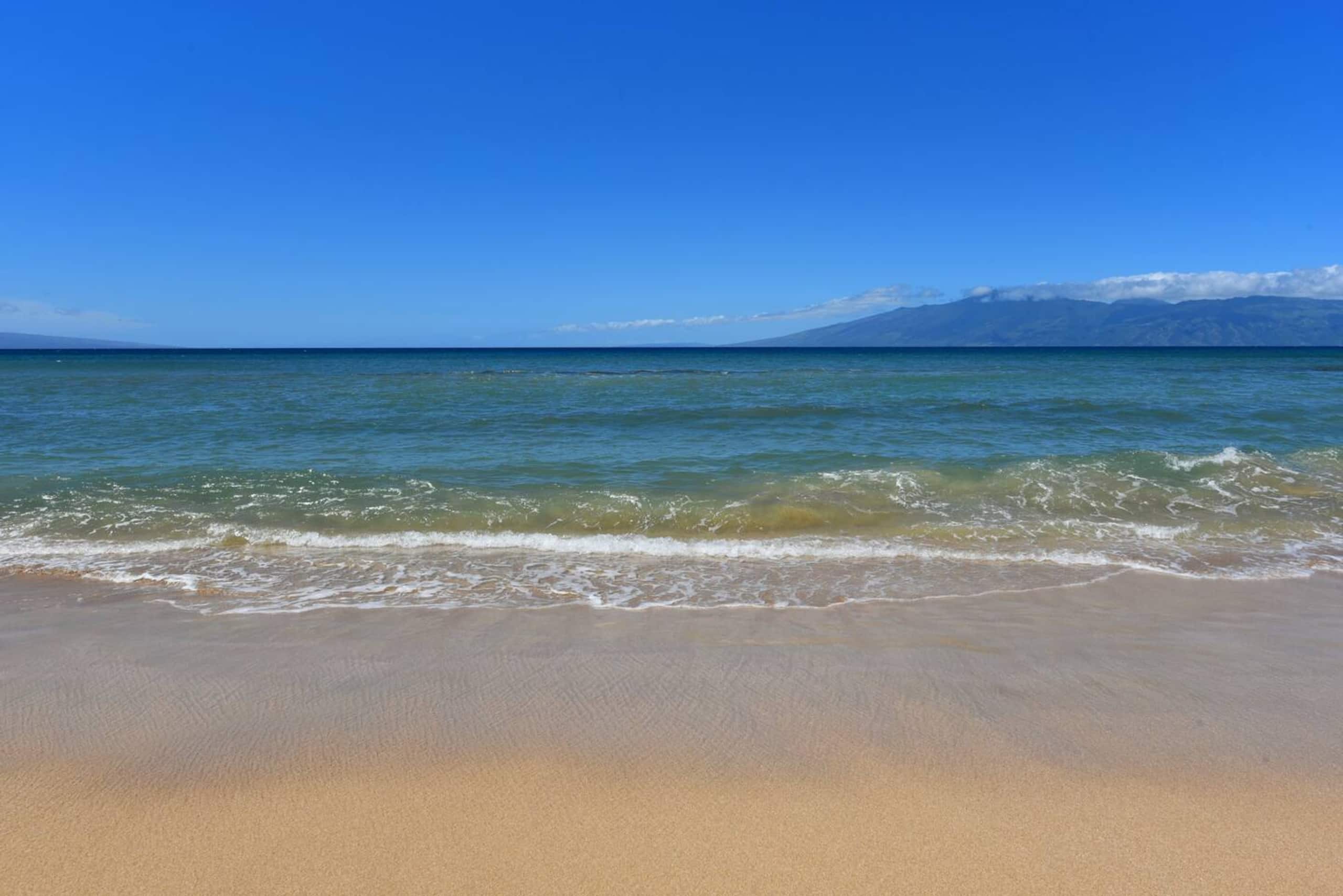 Condo in Lahaina · ★4.81 · 1 bedroom · 2 beds · 1 bath - Image 49