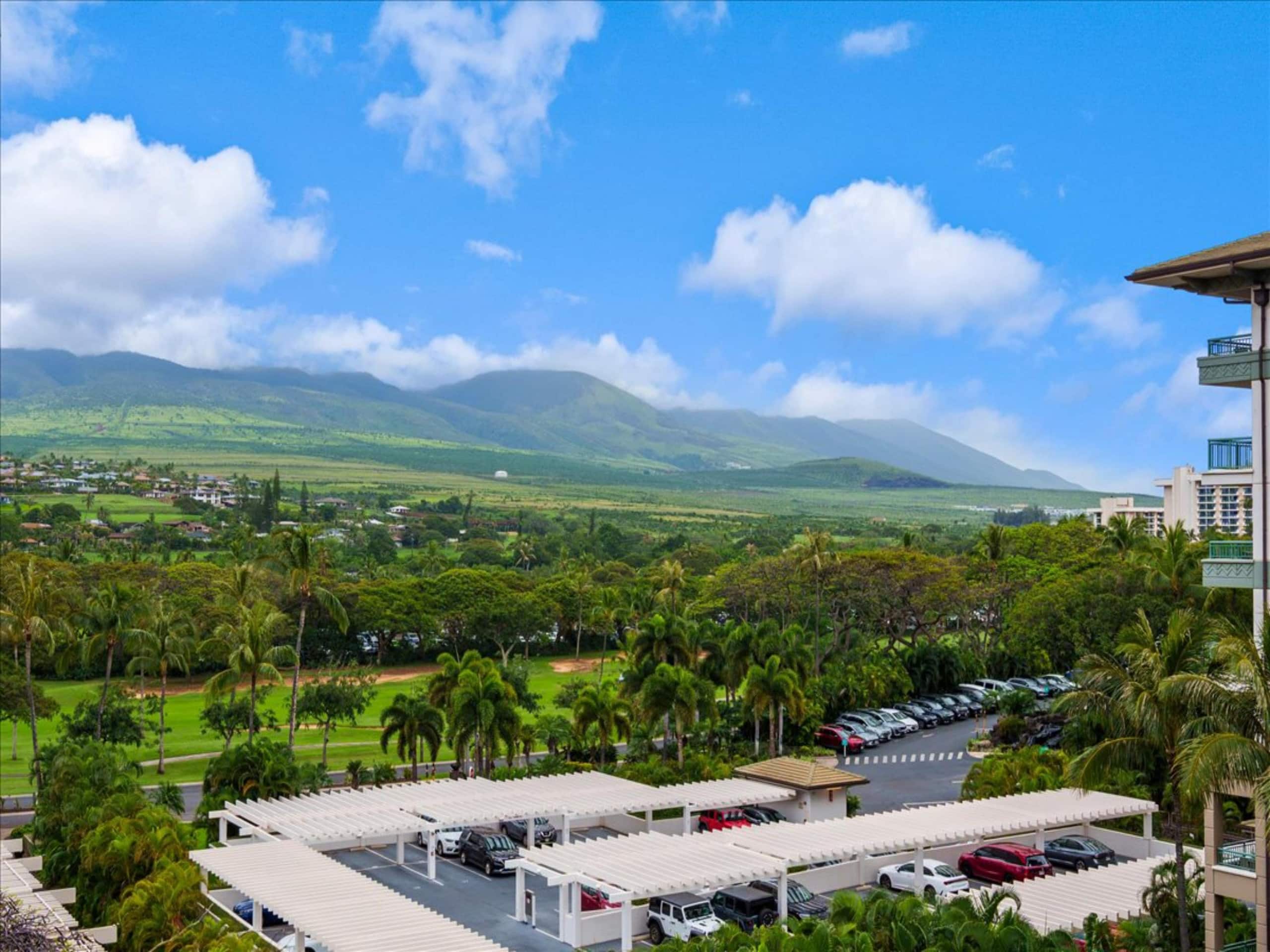 Condo in Lahaina · ★5.0 · 2 bedrooms · 2 beds · 2 baths - Image 13