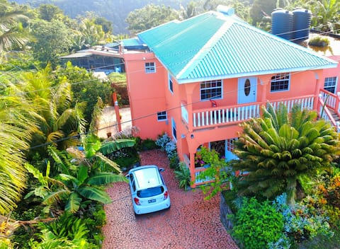 Cozy Tropical Escape for a Local Experience