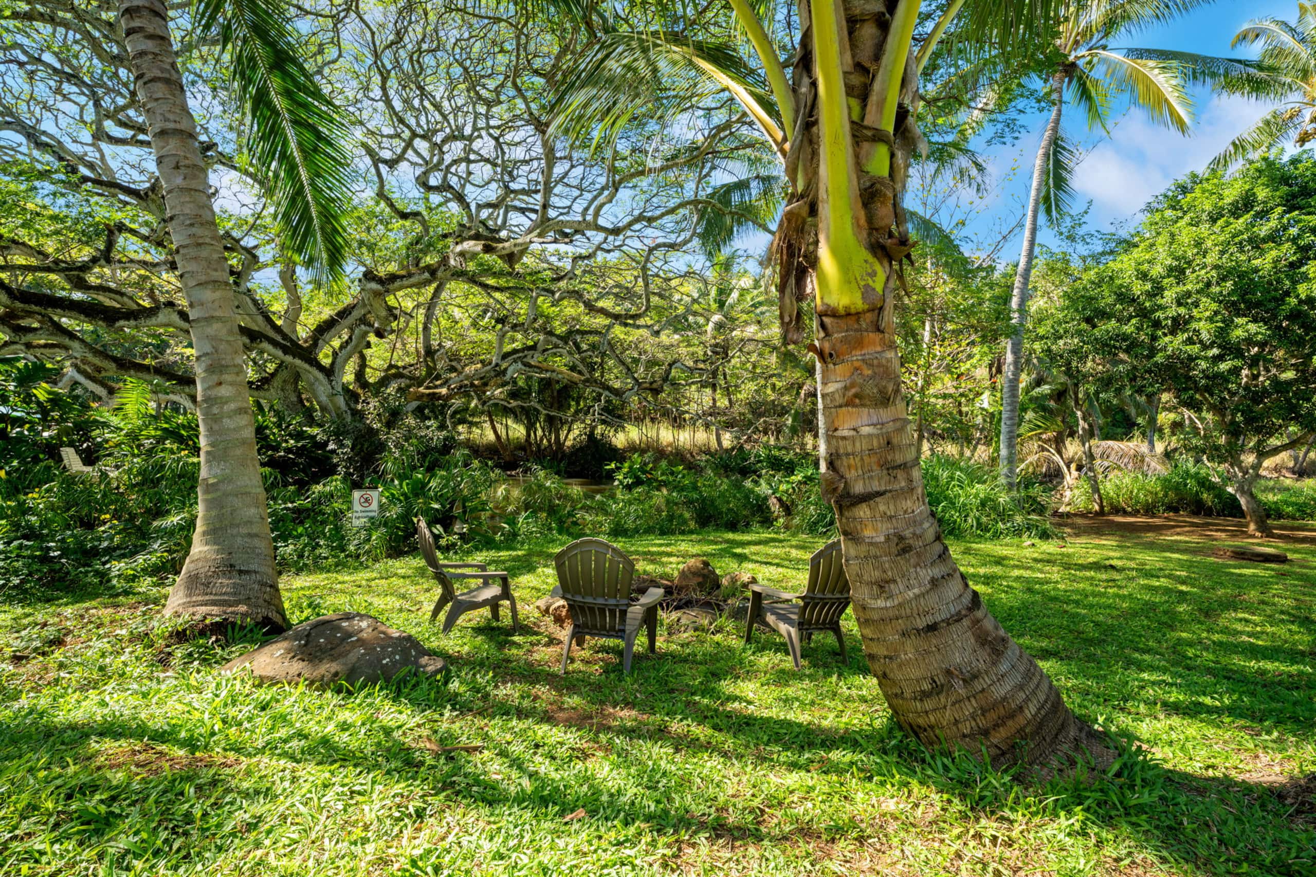 Home in Anahola · ★4.94 · 2 bedrooms · 4 beds · 2 baths - Photo 34