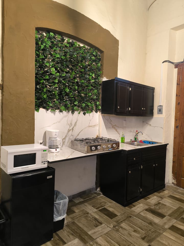 Loft Vintage En Zona Centro - Saltillo