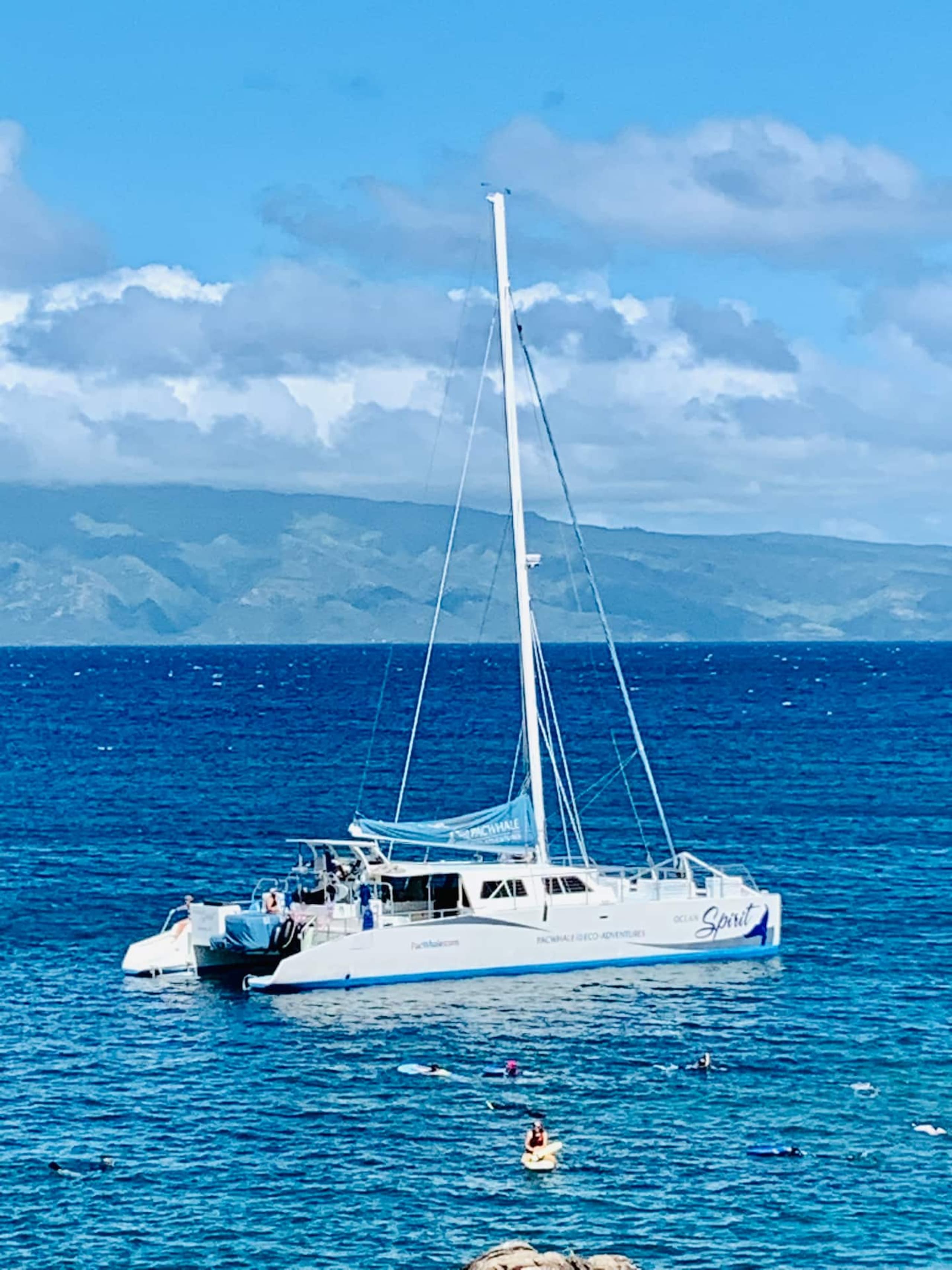 Villa in Lahaina · ★4.91 · 1 bedroom · 2 beds · 2 baths - Image 43