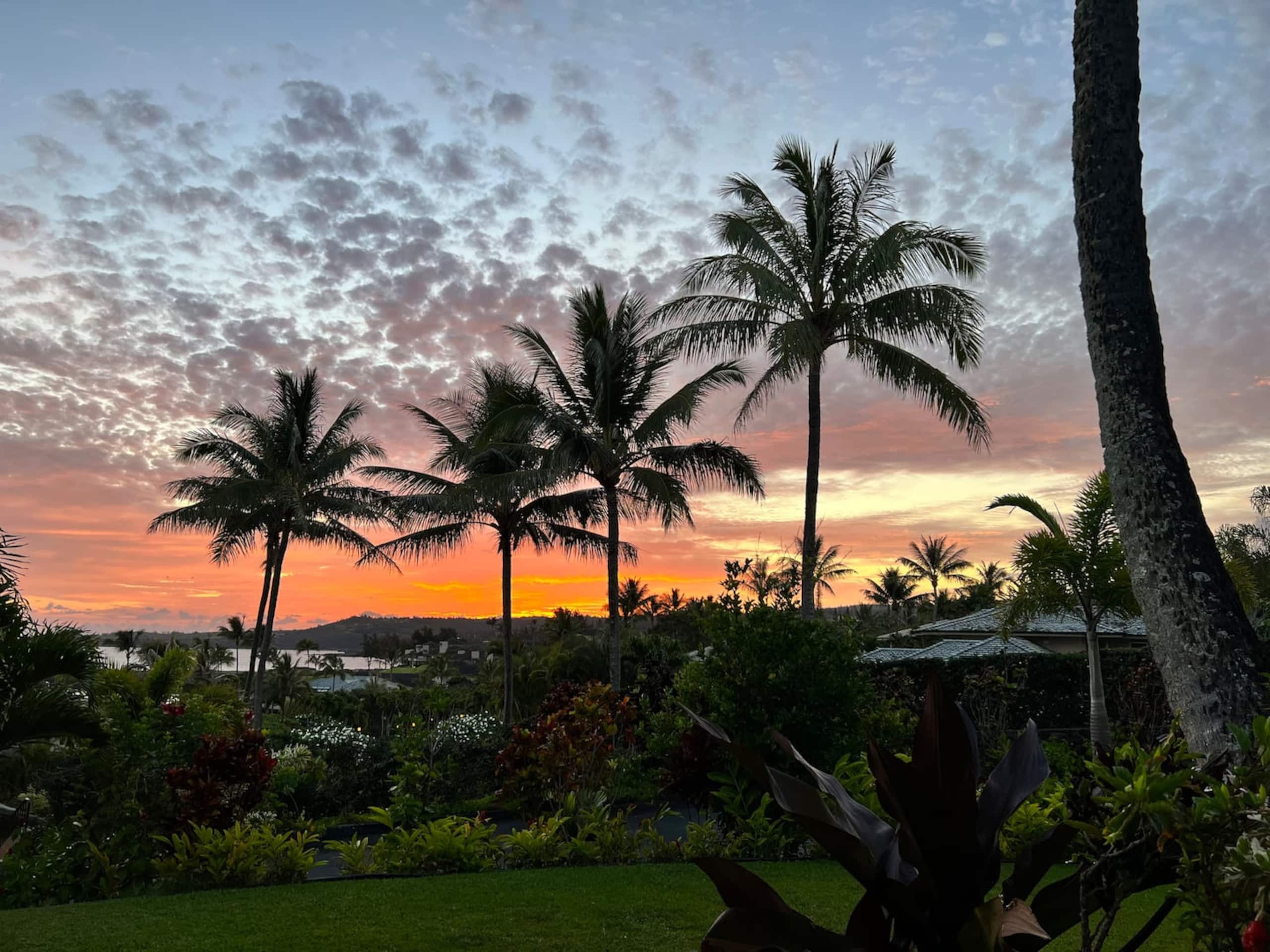 Villa in Lahaina · ★4.91 · 1 bedroom · 2 beds · 2 baths - Image 44